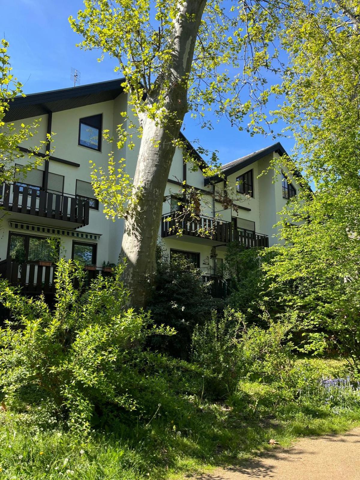 Zentrale Ferienwohnung Am Buhlschen Park In Deidesheim Extérieur photo