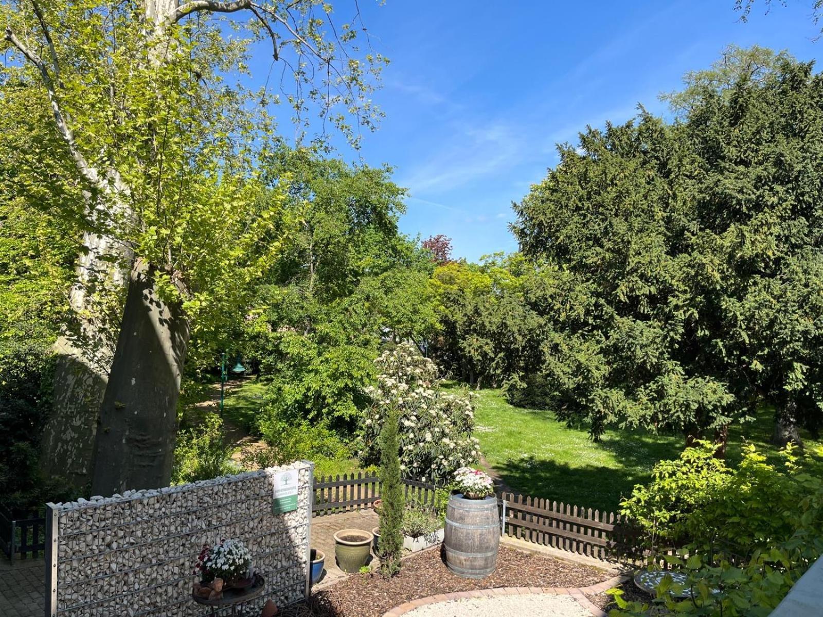 Zentrale Ferienwohnung Am Buhlschen Park In Deidesheim Extérieur photo